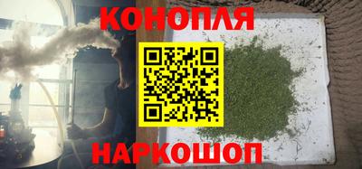 стаф Моздок
