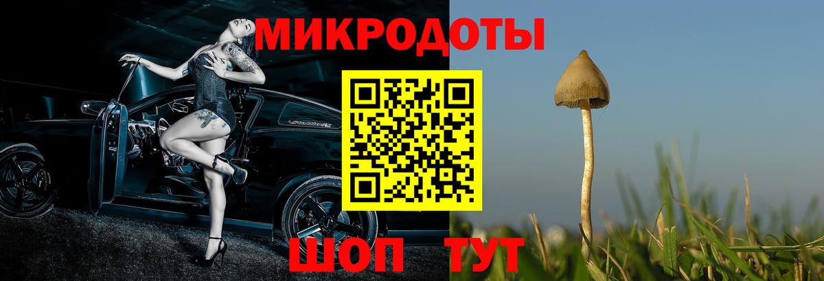 Иркутск  Галлюциногенные грибы ЛСД  Вход с VPN  Галлюциногенные грибы мухоморы 